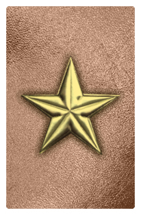 DF35T 430 GD BZ Star Gold Bronze